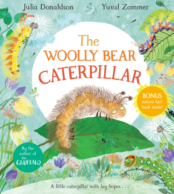Woolly Bear Caterpillar - all formats