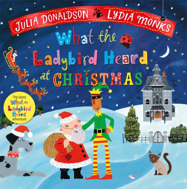What the Ladybird Heard at Christmas pbk